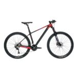 JAVA Vetta Carbon Mountain Bike