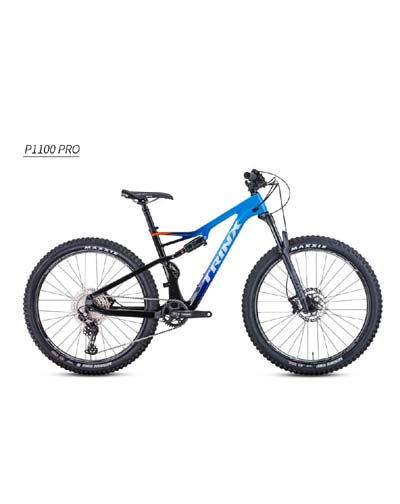 Trinx 2024 p1200 price