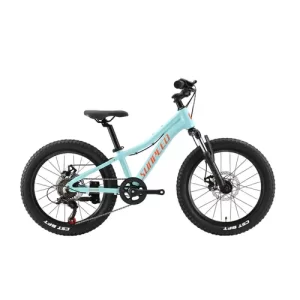 Sunpeed Youth 20 Inch Alloy Kids Bike