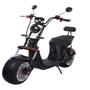 Kugoo - City Harley Electric bike